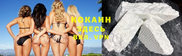 хмурый Абаза