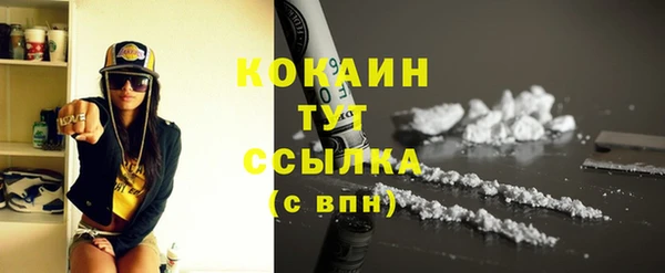 хмурый Абаза
