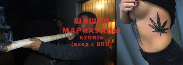 хмурый Абаза