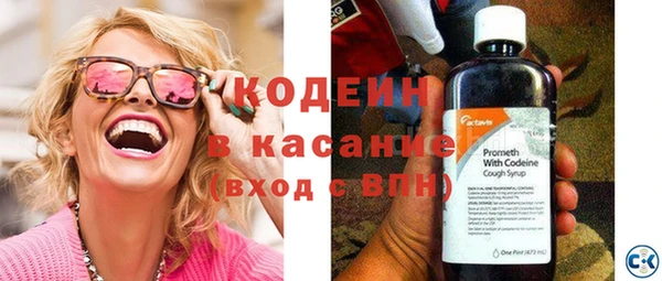 хмурый Абаза