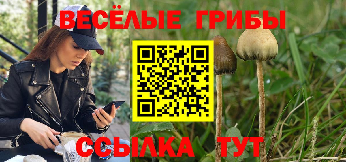 Псилоцибиновые грибы MAGIC MUSHROOMS  Вход с VPN  как найти   Каменск-Шахтинский  Псилоцибиновые грибы ЛСД 