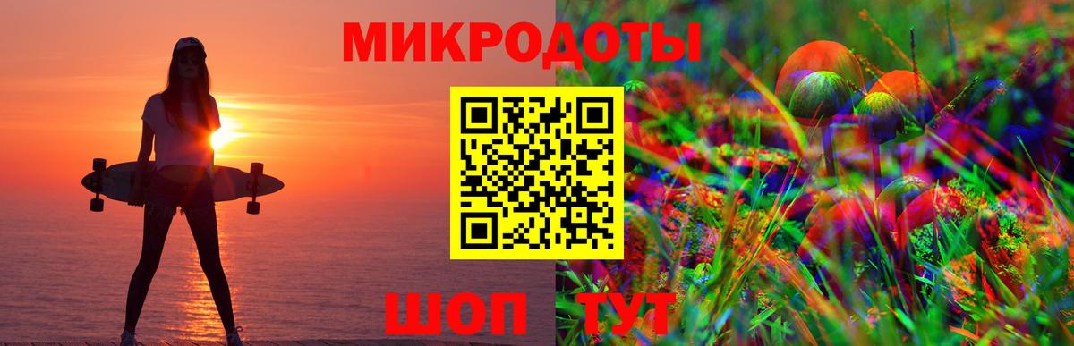 Псилоцибиновые грибы Psilocybine cubensis Каменск-Шахтинский