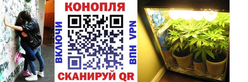 OMG ТОР  как найти закладки  Каменск-Шахтинский  Конопля тримм 